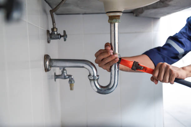 Best Local Plumber Services  in Honaunau Napoopoo, HI